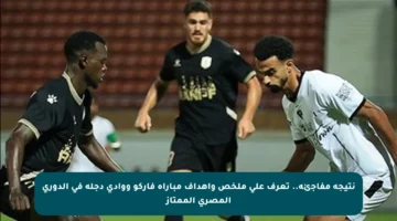 نتيجة مفاجئة.. تعرف على ملخص وأهداف مباراة فاركو ووادي دجلة في الدوري المصري الممتاز